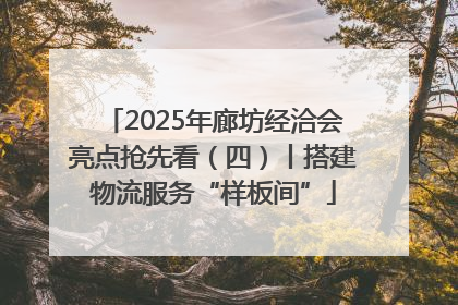 2025年廊坊经洽会亮点抢先看（四）丨搭建物流服务“样板间”