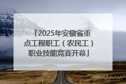 2025年安徽省重点工程职工（农民工）职业技能竞赛开幕