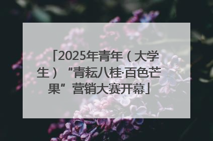 2025年青年（大学生）“青耘八桂·百色芒果”营销大赛开幕