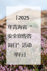 2025年青海省“安全宣传咨询日”活动举行