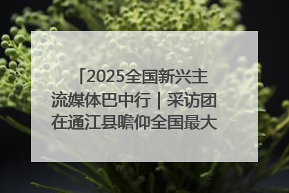 2025全国新兴主流媒体巴中行｜采访团在通江县瞻仰全国最大红军烈士陵园