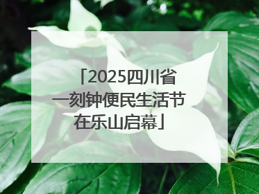 2025四川省一刻钟便民生活节在乐山启幕