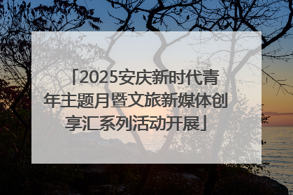 2025安庆新时代青年主题月暨文旅新媒体创享汇系列活动开展