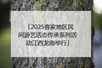 2025客家地区民间游艺活态传承系列活动江西龙南举行