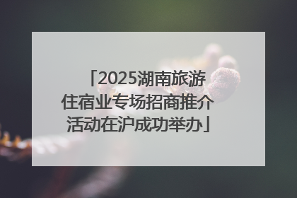 2025湖南旅游住宿业专场招商推介活动在沪成功举办