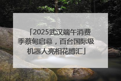 2025武汉端午消费季蔡甸启幕，百台国际级机器人亮相花博汇