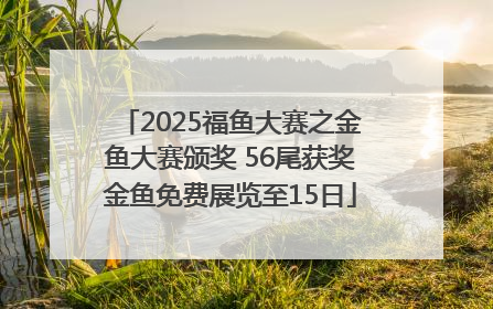 2025福鱼大赛之金鱼大赛颁奖 56尾获奖金鱼免费展览至15日