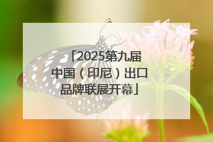 2025第九届中国（印尼）出口品牌联展开幕