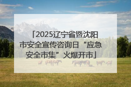 2025辽宁省暨沈阳市安全宣传咨询日“应急安全市集”火爆开市