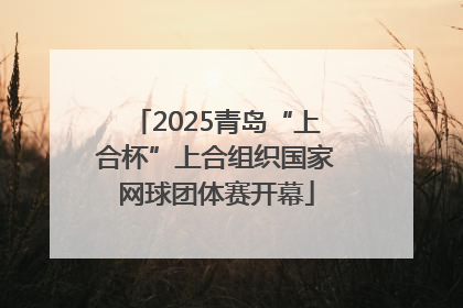 2025青岛“上合杯”上合组织国家网球团体赛开幕