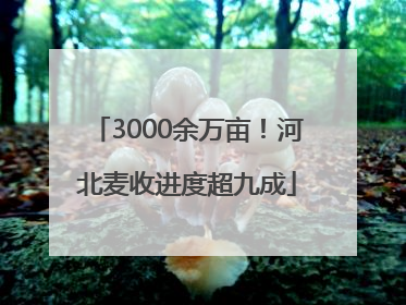 3000余万亩！河北麦收进度超九成