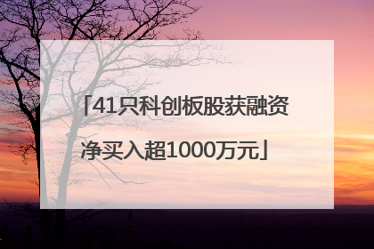 41只科创板股获融资净买入超1000万元