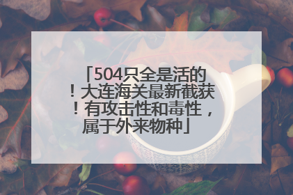 504只全是活的！大连海关最新截获！有攻击性和毒性，属于外来物种