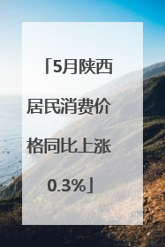 5月陕西居民消费价格同比上涨0.3%