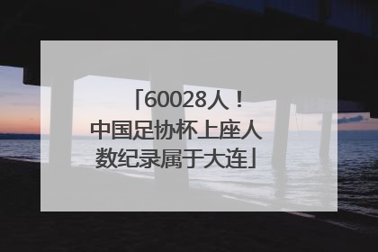 60028人！中国足协杯上座人数纪录属于大连