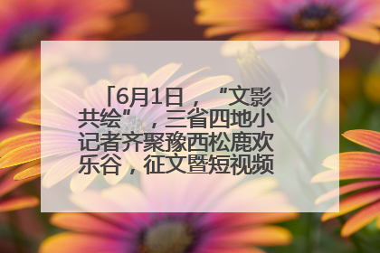 6月1日，“文影共绘”，三省四地小记者齐聚豫西松鹿欢乐谷，征文暨短视频大赛精彩启幕！