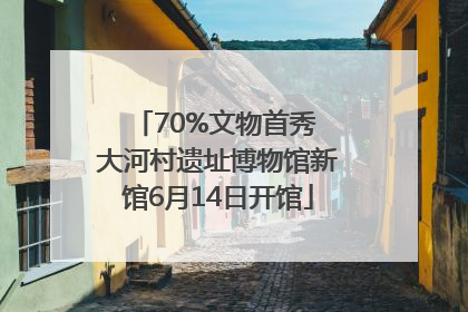 70%文物首秀 大河村遗址博物馆新馆6月14日开馆