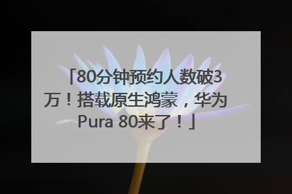 80分钟预约人数破3万！搭载原生鸿蒙，华为Pura 80来了！