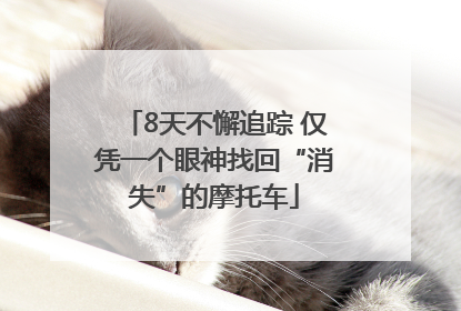 8天不懈追踪 仅凭一个眼神找回“消失”的摩托车