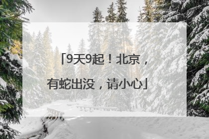 9天9起！北京，有蛇出没，请小心