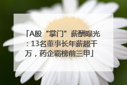 A股“掌门”薪酬曝光：13名董事长年薪超千万，药企霸榜前三甲